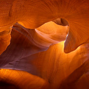 Nautiloid Impression 1/10 by Bryan Sabol