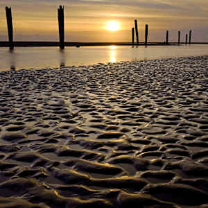 Little Things 1/10 by Bryan Sabol