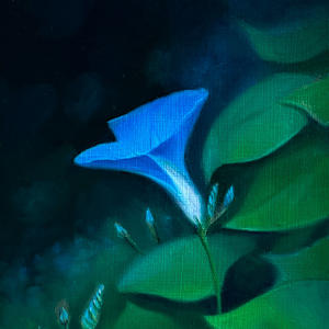 The First Morning Glory by Alan Douglas Ray