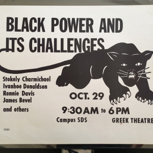 Black Power and Its Challenges by Lisa Lyons 