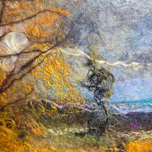 Tree Shadow, Study by Steph Jansen, Image 7.