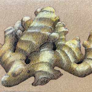 Ginger Root by Martha Lee Turner