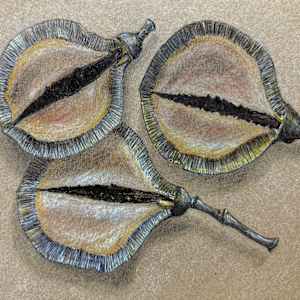 Jacaranda Capsules by Martha Lee Turner