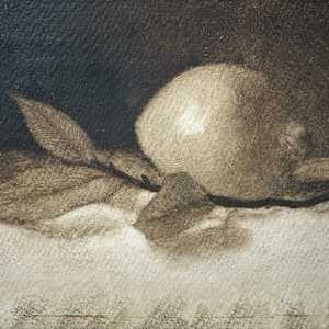 Lemon with Bay Leaves by Martha Lee Turner, Image 1.
