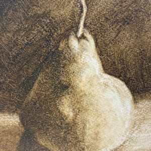 Pear Under Two Lights by Martha Lee Turner