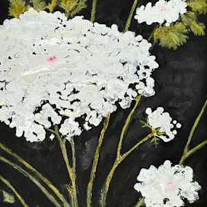 Large Queen Anne's Lace Flower by Martha Lee Turner