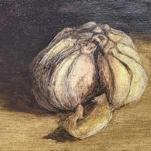 Broken Garlic Head by Martha Lee Turner
