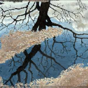 Tree Reflection (After the Storm) by Martha Lee Turner