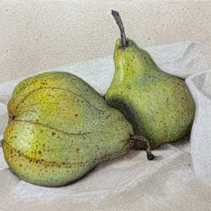 Striped and Speckled Pears by Martha Lee Turner