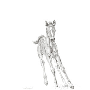 Foaling Racer by Lynette Orzlowski
