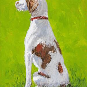 Brittany Spaniel (Prints available) by David Whited
