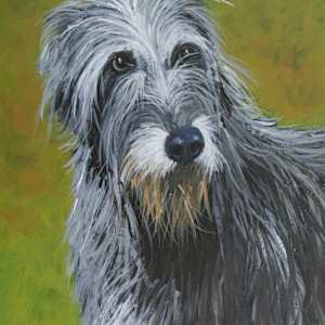 Irish wolfhound by David Whited, Image 1.
