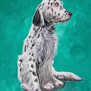 English Setter by David Whited