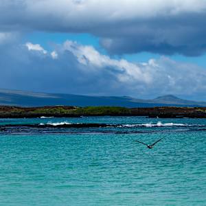 Espanola Island, Galapagos by David Whited, Image 1.
