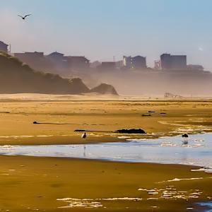 Walk on the Oregon beach, Pacific Coast, Oregon, USA by David Whited