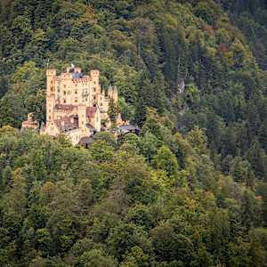 Neuschwanstein Castle, Bavarian Alps, Germany by David Whited