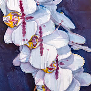 White Orchids by David Whited