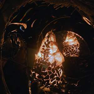 The Morrigan by Tashina Marie 