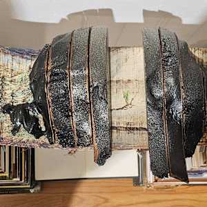 Homeless Near a Thousand Homes I Stood by Tashina Marie 