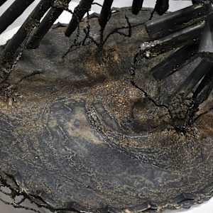 Infinite Transcendence by Tashina Marie 