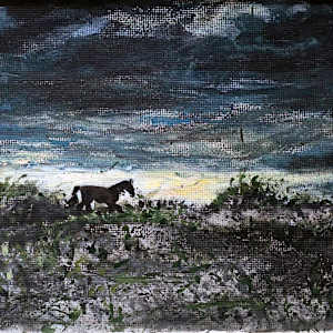 The Soft Courage of First Light by Tashina Marie, Image 1.