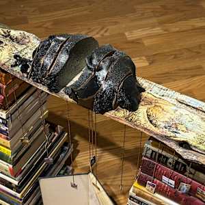 Homeless Near a Thousand Homes I Stood by Tashina Marie 