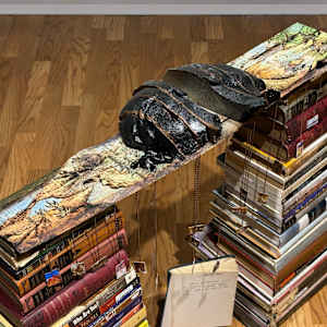 Homeless Near a Thousand Homes I Stood by Tashina Marie 