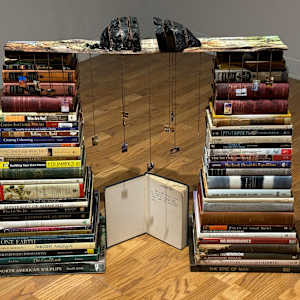 Homeless Near a Thousand Homes I Stood by Tashina Marie 