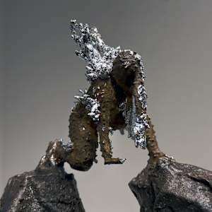 Strength and Vulnerability by Tashina Marie 