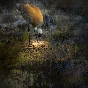 Tending the Unseen by Tashina Marie