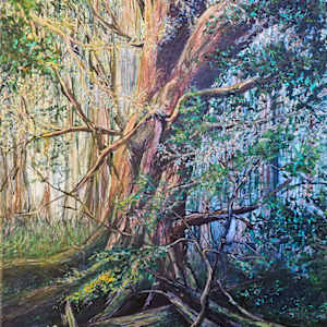 Regeneration: Cedar Medicine Trees by Tashina Marie