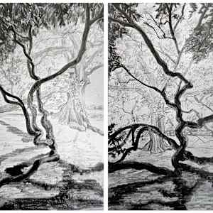 The Birthing Tree: Sketch by Tashina Marie