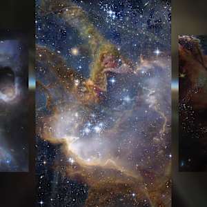 The Song That Made The Stars Triptych by Tashina Marie