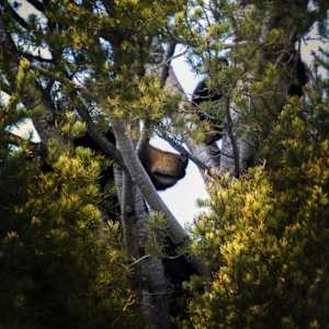 A Future Held by Nurture’s Hand by Tashina Marie