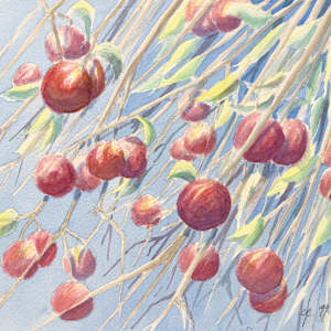 Untitled by Chris James Cooper