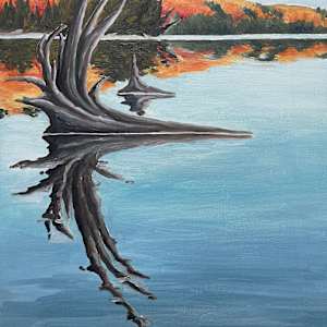 Submerged Wood by Chris James Cooper