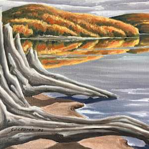 Time Passes, Algonquin by Chris James Cooper