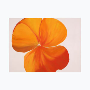 "Pansy #3" by Steven McHugh  Image: Introducing "Pansy #3," an original oil painting on canvas by the talented artist Steven McHugh. This beautiful abstract artwork features a vibrant orange color palette that captures the essence of a blooming pansy flower. Measuring 48" x 36" and 2.5" deep, this unframed canvas is a statement piece that will add a pop of color to any room. Steven McHugh was inspired to create this masterpiece during a relaxing breakfast with his wife, making it a truly special piece of art. Add "Pansy #3" to your collection today and enjoy its beauty for years to come.