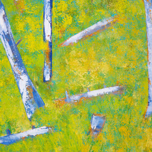 "Where Light Gets In" by Steven McHugh  Image: Detail view of "Where Light Gets In," an original oil and cold wax abstract landscape painting by Madeline Island artist, Steve McHugh. This stunning piece depicts the breathtaking beauty of spring time on Madeline Island, featuring celery yellow green foliage with vertical blue and white bare trees, inspired by the scenic Black Shanty Road. Measuring 22" x 30", this captivating artwork is beautifully framed in a simple, natural wood gallery floating frame. Embrace the tranquility and peacefulness of this unique piece, which is sure to make a captivating addition to any art collection. Don't miss the opportunity to bring the essence of Madeline Island into your home with "Where Light Gets In."

This artwork vividly portrays a forest landscape dominated by tall, sparsely-leaved trees with predominantly white bark, accentuated with splashes of blue and hints of bright colors. The ground is a lush, vibrant green, interspersed with additional strokes of color, giving a sense of dense foliage or grass. The sky above is a clear, calming blue, blending seamlessly with the upper portions of the trees. The overall composition evokes a sense of tranquility and natural beauty, with the trees standing tall and the vibrant colors creating a dynamic yet harmonious scene.

Sales tax and shipping is determined after destination is decided.