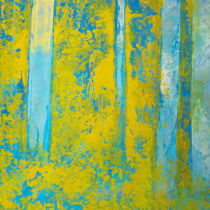 "Dreamscape" by Steven McHugh 