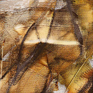 "Free Spirted" by Steven McHugh  Image: Detail view of "Free Spirited," by Madeline Island artist Steve McHugh, is an evocative mixed-media non-representational abstract piece. This 48" x 36" canvas showcases uninhibited expressions of abstract art with free-hand charcoal drawing, further refined with oil and medium to secure its intricacy. Bold black and white areas, complemented by yellow and brown washes, create a mesmerizing depth that captivates the viewer. Embrace the unique energy and profound artistry brought to life from the serene Apostle Islands in Lake Superior, WI. Enhance your space with a piece that truly embodies the spirit of artistic freedom.

The painting is an abstract composition characterized by swirling, fluid lines and patterns. It features a warm color palette with shades of brown, orange, yellow, and hints of gray. Black and white streaks intersect throughout, creating a sense of depth and movement. The piece has an organic feel, with the colors blending and overlapping in an expressive and dynamic manner.

Shipping and sales tax added after sale and destination is established.  Please contact me with questions.

Note; some room views in this presentation are enlarged versions of the original and are not included in this price.  Please contact me with questions and prices. 