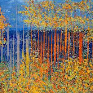 "Big Bay Road" by Steven McHugh  Image: Detail view of "Big Bay Road,"  a panoramic landscape painting featuring a dense forest composed of tall, slender trees with white trunks and autumnal foliage in vibrant shades of gold, orange, and yellow. The trees create vertical lines that contrast against a deep blue background suggesting a clear sky and distant water. The composition balances the bright, warm colors of the leaves with the cool blue tones, creating a striking visual effect. The scene conveys a serene atmosphere with an abstract, almost impressionistic style, emphasizing color and form over detailed realism.

Immerse yourself in the essence of Madeline Island with "Big Bay Road," a mixed-media abstract piece crafted by Madeline Island's resident abstract painter, Steve McHugh. This evocative artwork captures the untamed spirit of the Apostle Islands, bringing the ethereal beauty of Lake Superior to your space. Each brushstroke and texture uniquely conveys a non-representational journey through the island's rugged landscapes. Perfect for art enthusiasts seeking a vibrant, dynamic accent for their home or office, "Big Bay Road" embodies the rich, scenic splendor of Wisconsin's northern wilderness. Transform your interior with this compelling piece that resonates deeply with the natural world.

This oil and cold-wax painting is on a wood panel and measures 12 x 72" x 1.5", framed in a gallery floating frame measures 13" x 73" x 2.5". Shipping is included in the lower 48 U.S. states.