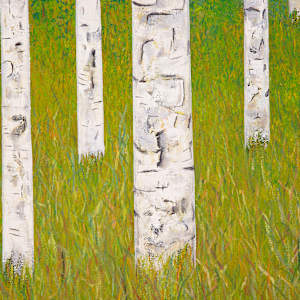 "Roots" by Steven McHugh 