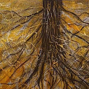 "Roots" by Steven McHugh 