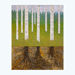 "Roots" by Steven McHugh 