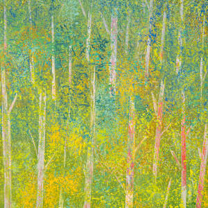 "Hazy Day" by Steven McHugh  Image: Detail view of "Hazy Day," a masterpiece by a mixed-media representational abstract painter from Madeline Island, nestled within the Apostle Islands of Lake Superior, WI. At stevemchugh.art ,our commitment to capturing nature's subtleties is reflected in this evocative piece, blending soft hues and layered textures to create an atmosphere of tranquil introspection. Perfect for those seeking to add a touch of sophisticated calm to their space, "Hazy Day" invites viewers to lose themselves in its gentle, abstract landscape. Discover the unique artistic vision that thrives on Madeline Island and bring a piece of its serene beauty into your home.

This oil and cold water painting on wood panel is 29.75" x 10.75" by 2.5" and is framed in a simple gallery floating frame.

"Hazy Day" depicts a serene forest scene under a vast blue sky. Tall, slender trees with light green foliage dominate the composition, their trunks stretching vertically and interspersed with subtle hints of yellow and red among the greenery. The painting uses soft, blended brushstrokes to create a lush and tranquil atmosphere, with the dense foliage gradually fading as it recedes upward towards the sky. The overall palette consists mainly of different shades of green, punctuated by warm touches of yellow and red, evoking a sense of early morning light filtering through the trees. The artwork conveys a peaceful natural landscape with an emphasis on verticality and color harmony.