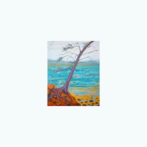 "Rocky Life" by Steven McHugh, Image 3.