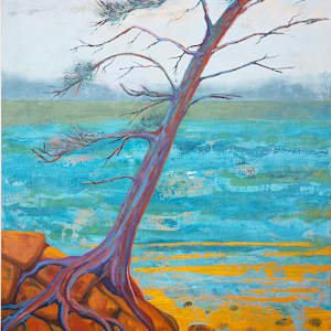 "Rocky Life" by Steven McHugh, Image 1.