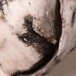 "Heart #3" by Steven McHugh, Image 1.