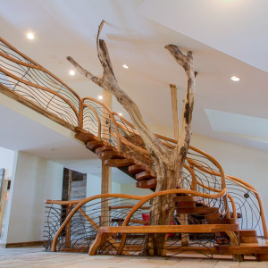 Tree House Stairway by aaron d laux